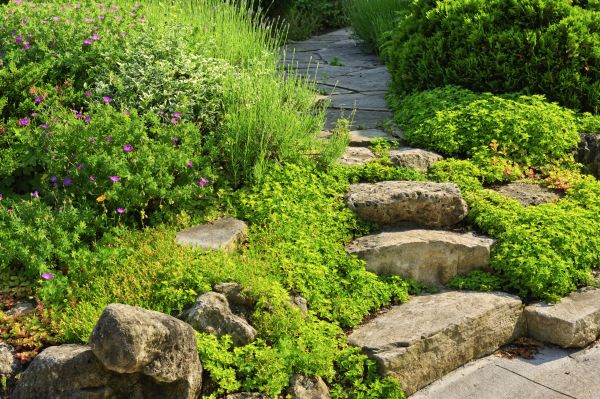 Flagstone Steps Repair